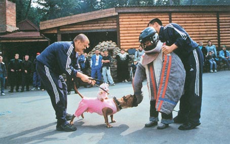 Лечебная кинология. Теоретические подходы и практическая реализация (с иллюстрациями) - pic_37.jpg