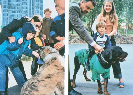 Лечебная кинология. Теоретические подходы и практическая реализация (с иллюстрациями) - pic_38.jpg