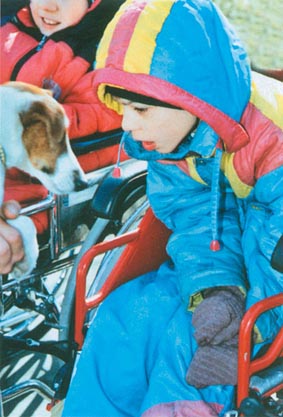 Лечебная кинология. Теоретические подходы и практическая реализация (с иллюстрациями) - pic_40.jpg