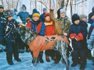 Лечебная кинология. Теоретические подходы и практическая реализация (с иллюстрациями) - pic_41.jpg