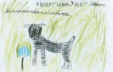 Лечебная кинология. Теоретические подходы и практическая реализация (с иллюстрациями) - pic_50.jpg