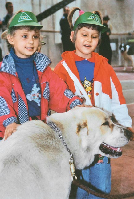 Лечебная кинология. Теоретические подходы и практическая реализация (с иллюстрациями) - pic_53.jpg