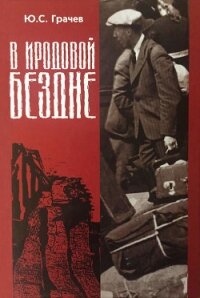 В Иродовой Бездне (книга 4) - Грачев Юрий Сергеевич