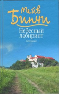 Небесный лабиринт. Искушение - Бинчи Мейв