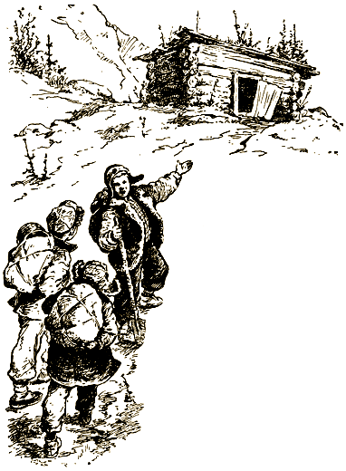 Тайна Золотой долины (др. изд.) - i_014.png