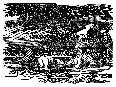 Пограничный легион (сборник) - p0322.jpg