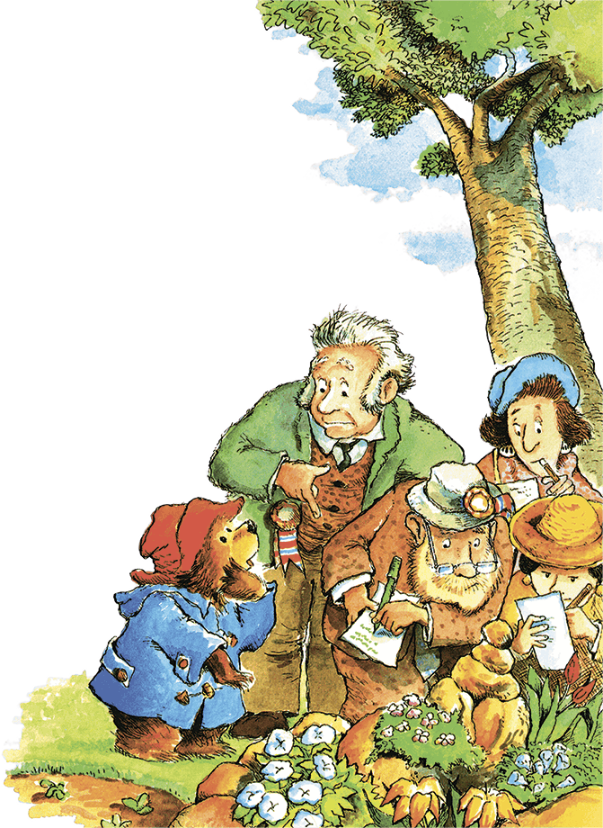 Медвежонок Паддингтон в саду - i_024.png