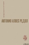 Серия книг Сага о Релвасах
