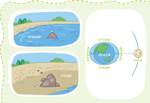 Планета Земля - i_048.jpg