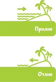 Планета Земля - i_049.png