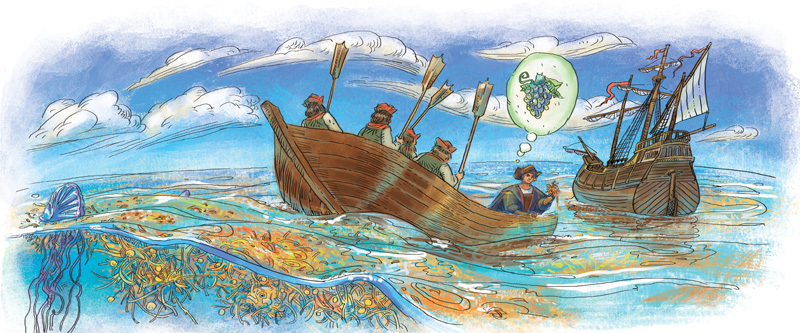 Планета Земля - i_054.jpg