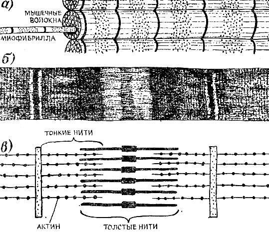 Физика для всех. Молекулы - img_106.jpeg