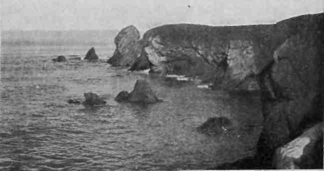 На Новую Землю! - img_26.jpeg