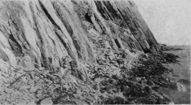 На Новую Землю! - img_27.jpeg