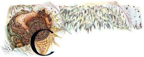 Миллион и один день каникул. Гум-Гам - pic_13.jpg