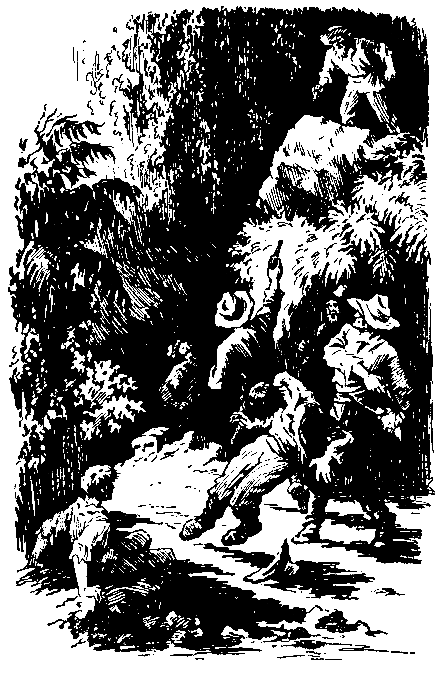 Беглецы. Восстание на золотых приисках (с илл.) - pic_46.png