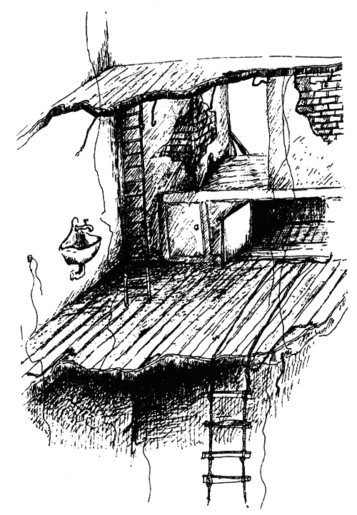 Остров на птичьей улице - i_005.png