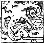 Грибы на асфальте - pic_14.jpg