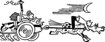 Грибы на асфальте - pic_2.jpg