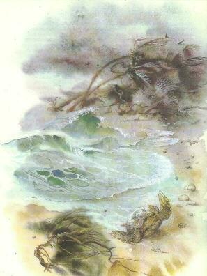 Про коалу Ушастика, черепаху Сарли и Карроинги-эму - img17.jpg