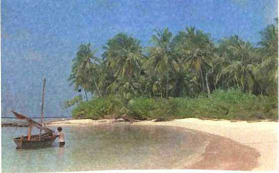 История корабля - i_023.jpg