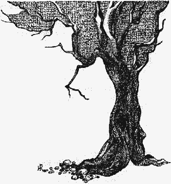 Леди Джен, или Голубая цапля (др. перевод) - i_019.jpg