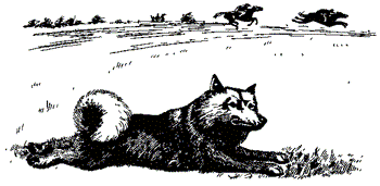 Тури и его конь - doc2fb_image_03000001.png