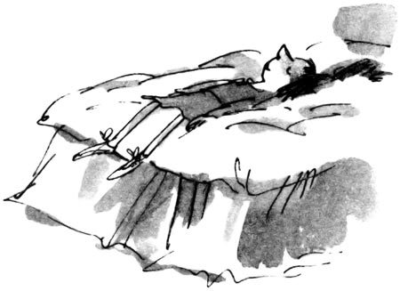 Матильда (др. перевод) - i_101.jpg