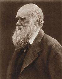 Все о Великобритании - _138.jpg