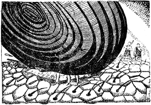 Приключения доктора Скальпеля и фабзавука Николки в мире малых величин - i_021.png