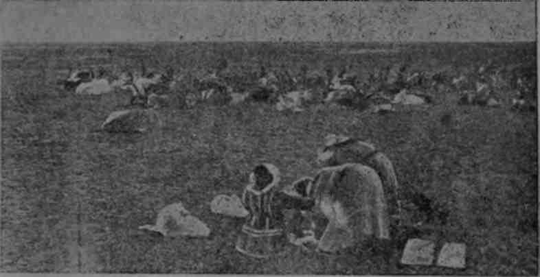 Полярная фактория - img_15.jpeg