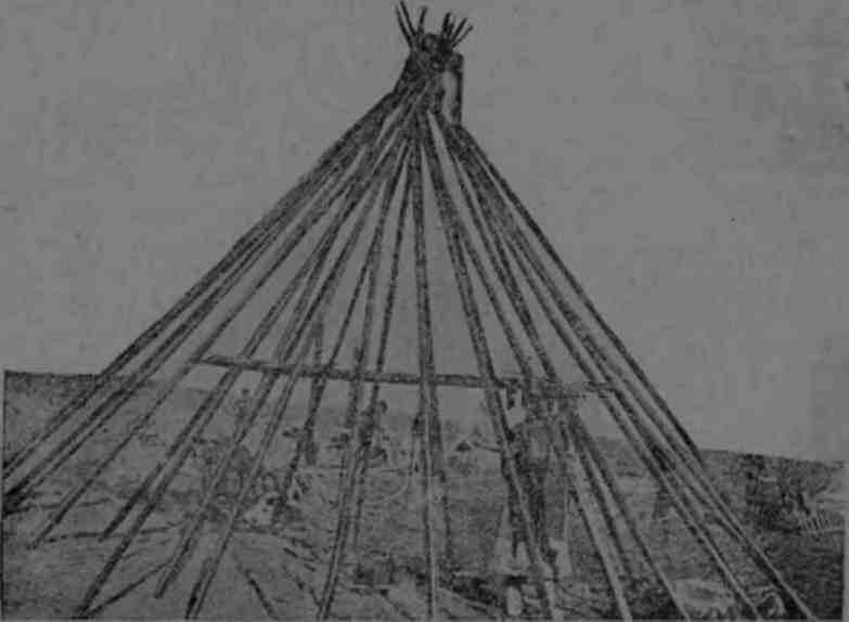 Полярная фактория - img_19.jpeg