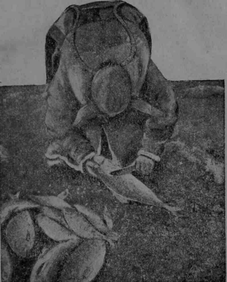 Полярная фактория - img_24.jpeg