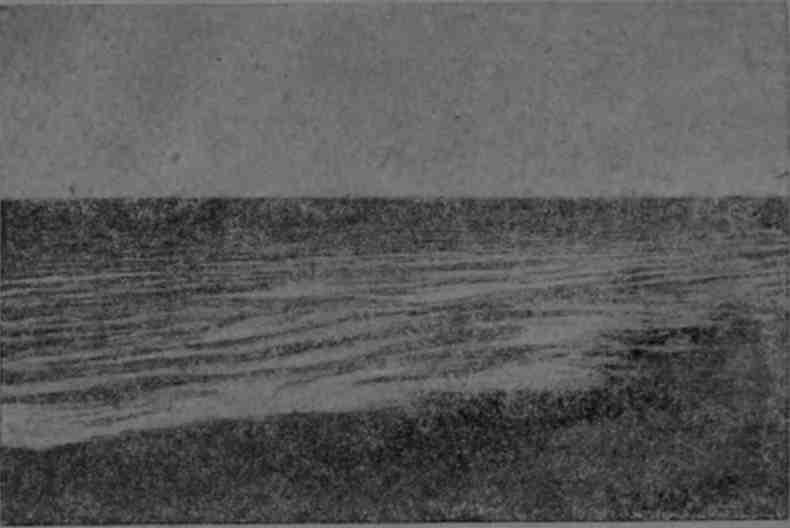 Полярная фактория - img_25.jpeg