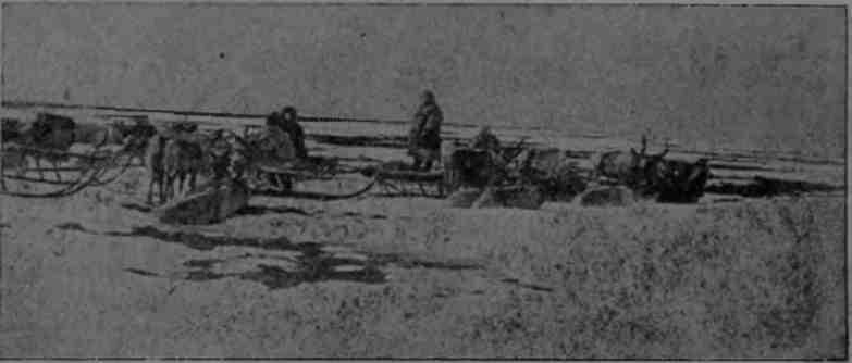 Полярная фактория - img_37.jpeg