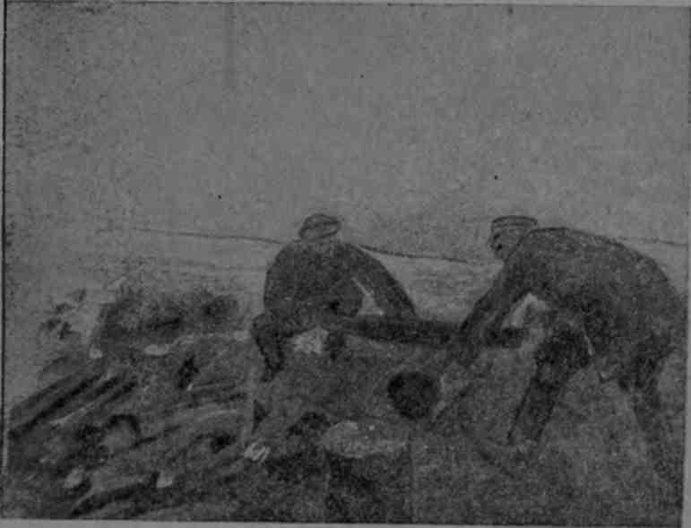 Полярная фактория - img_40.jpeg