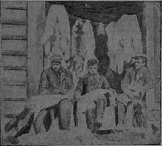 Полярная фактория - img_41.jpeg