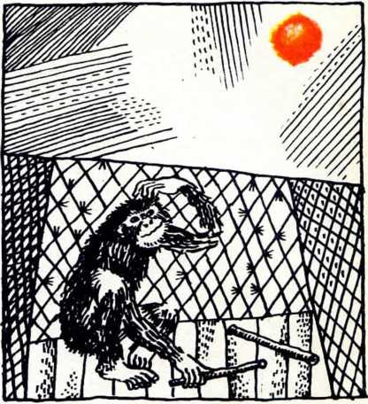 Волшебные руки труда и науки - img_4.jpeg