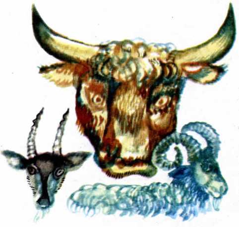 Волшебные руки труда и науки - img_61.jpeg