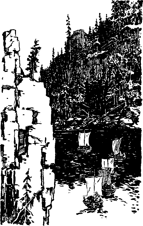 Тайна сибирской платформы - p0136.png