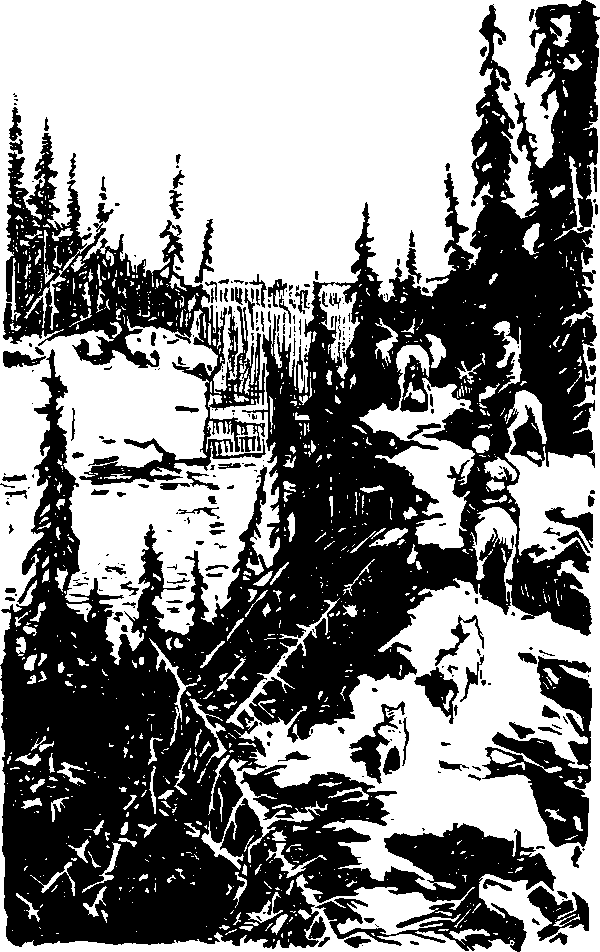 Тайна сибирской платформы - p0194.png