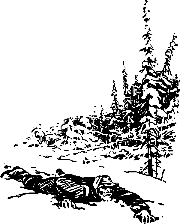 Тайна сибирской платформы - p0224.png