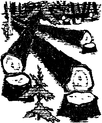 Снежный человек (с илл.) - pic_11.png