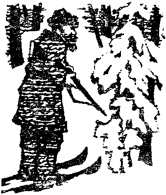 Снежный человек (с илл.) - pic_17.png