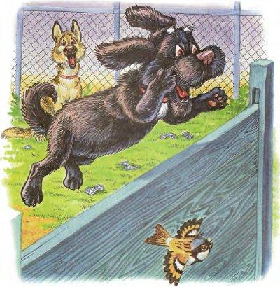 Пузик и Тузик идут по следу - img_16.jpg