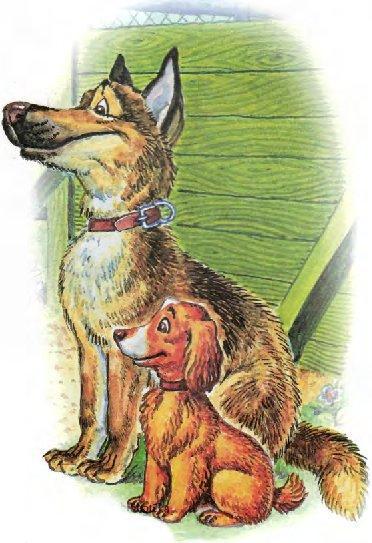 Пузик и Тузик идут по следу - img_2.jpg