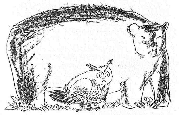 Бесстрашный Пекка - i_009.jpg