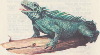 Буиде Марио - i_026.jpg