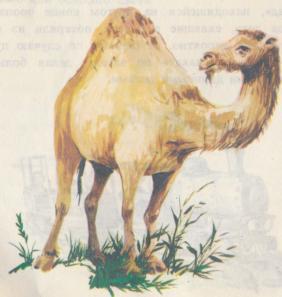 Буиде Марио - i_033.jpg