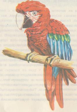 Буиде Марио - i_038.jpg